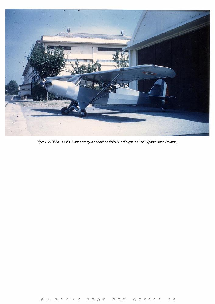 Piper L-21B_000030.jpg